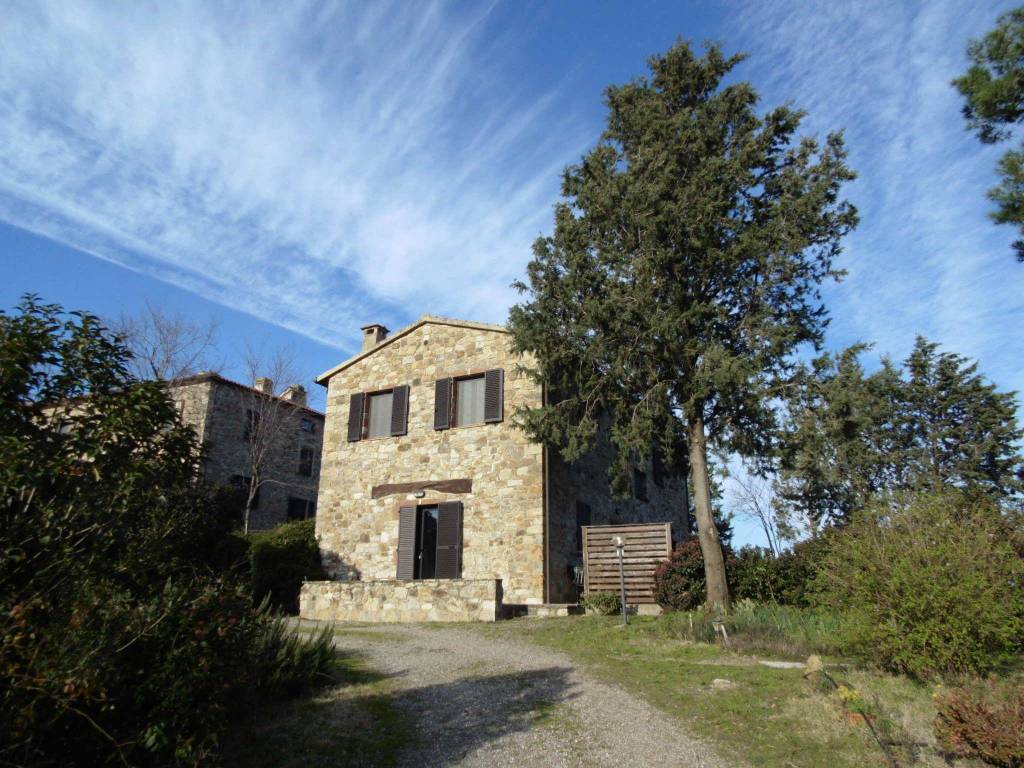 Rustico / casale a Campagnatico in Strada Provinciale delle Conce - Foto 5