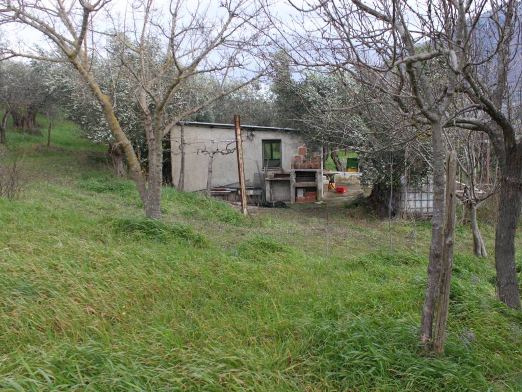 Terreno a Frasso telesino - Foto 4