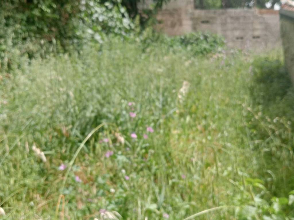 Palazzo / stabile a Roccamandolfi in Via Roma, 30 - Foto 5