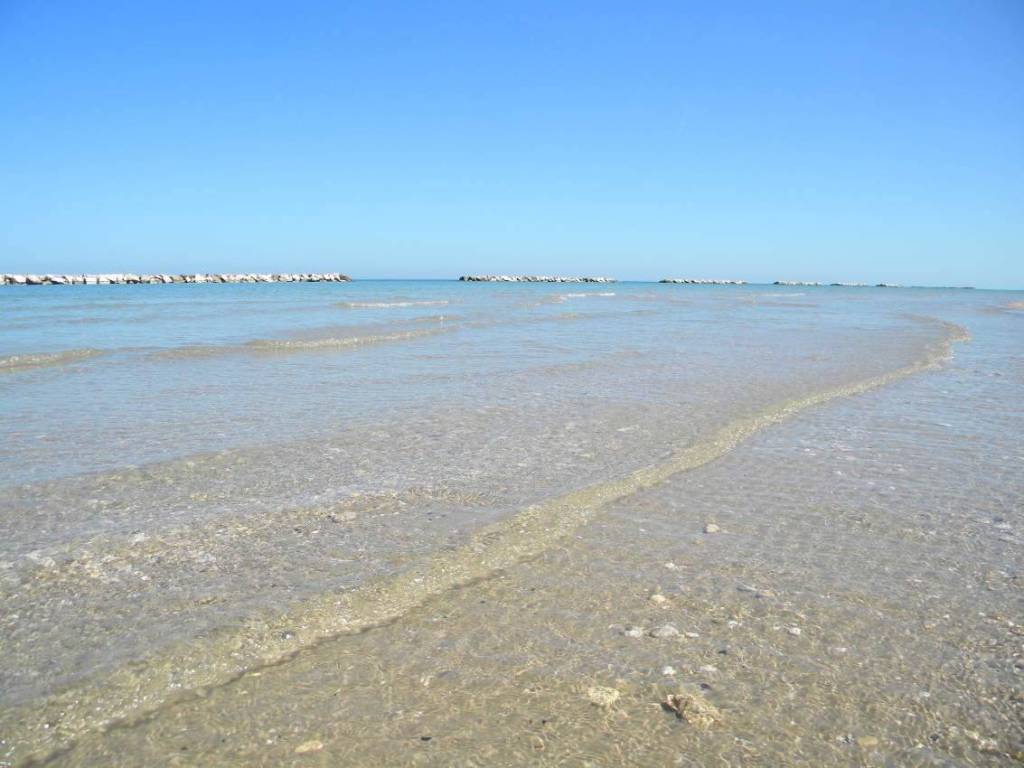 Terreno a Cupra marittima in adriatica sud, 1 - Foto 4