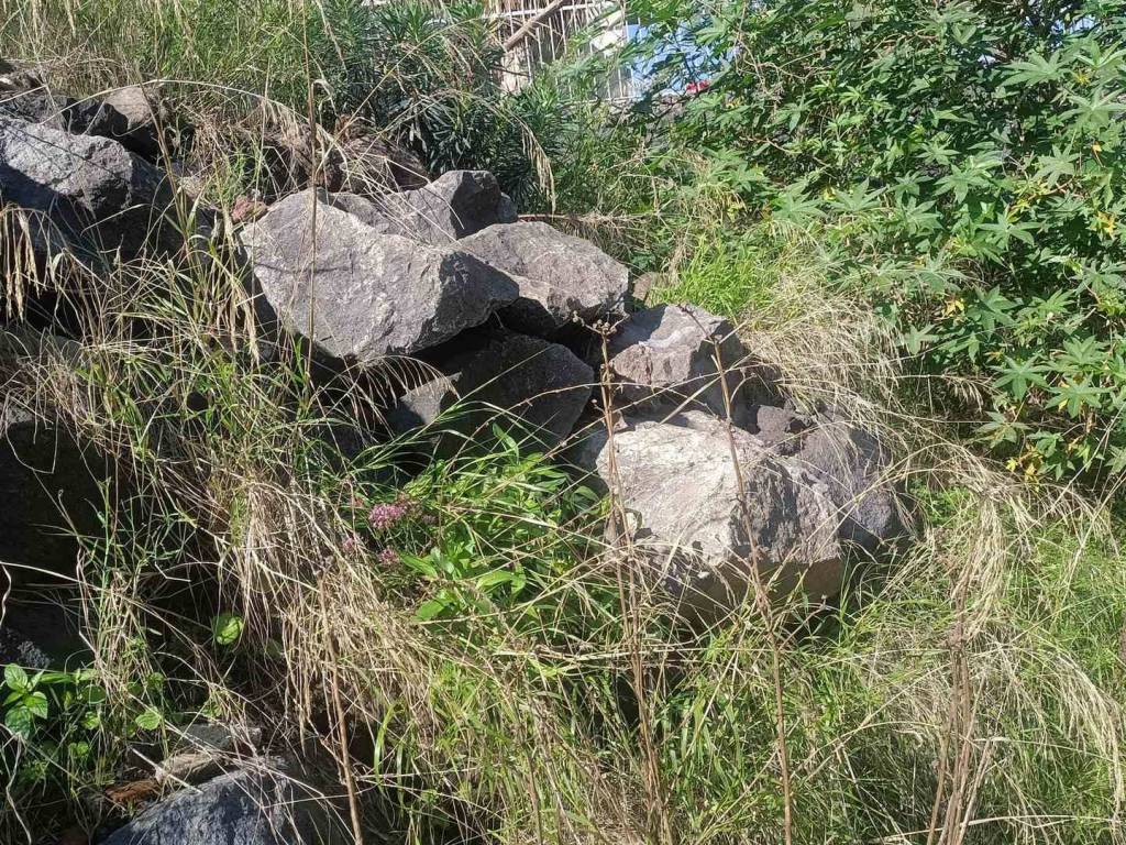 Terreno a San pietro clarenza - Foto 2