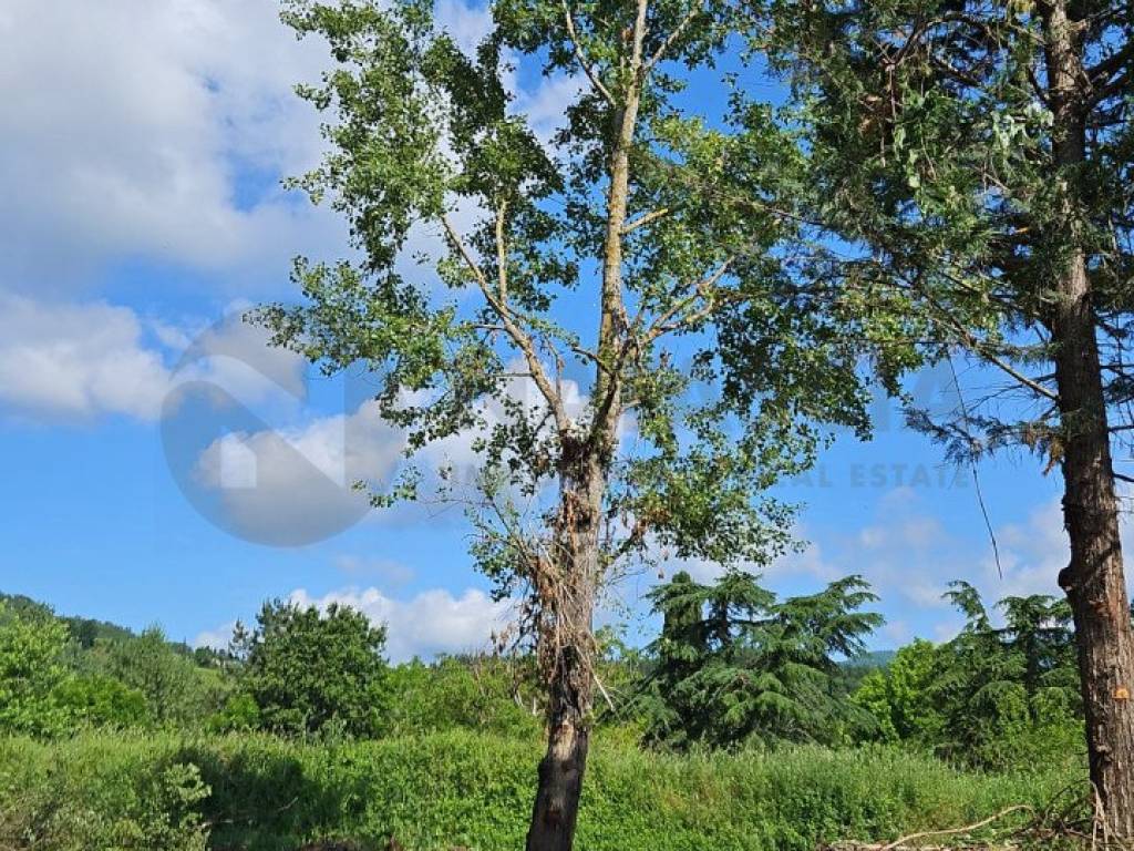 Terreno a Pontassieve in VIA COLOGNOLESE - Foto 2