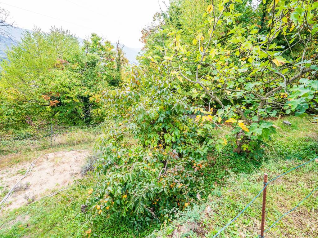 Villa a Ceriana in Strada Ravin - Foto 2