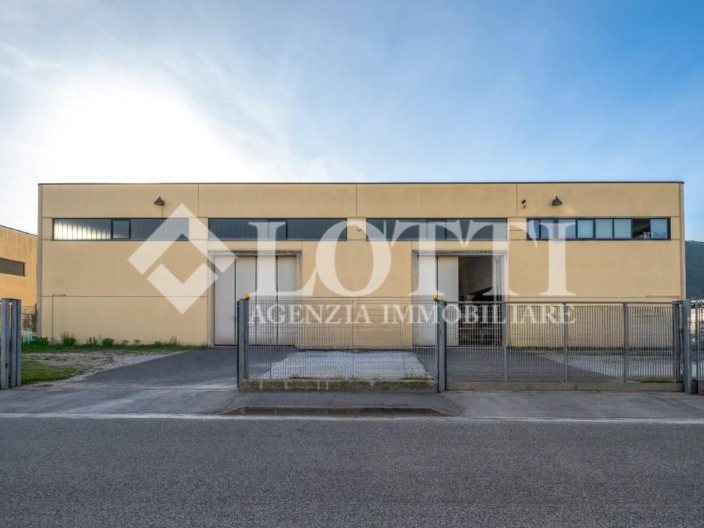 Immobile a Vicopisano in Via Torino, , 7 - Foto 5