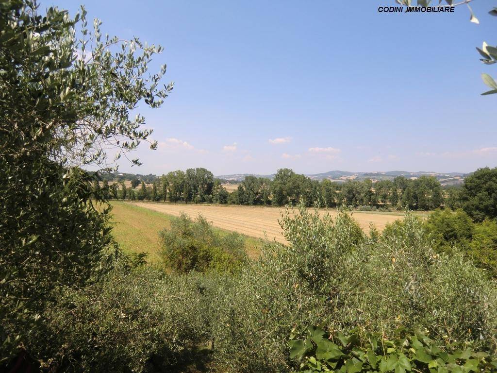 Terreno a Todi in Strada Provinciale di Pantalla - Foto 2