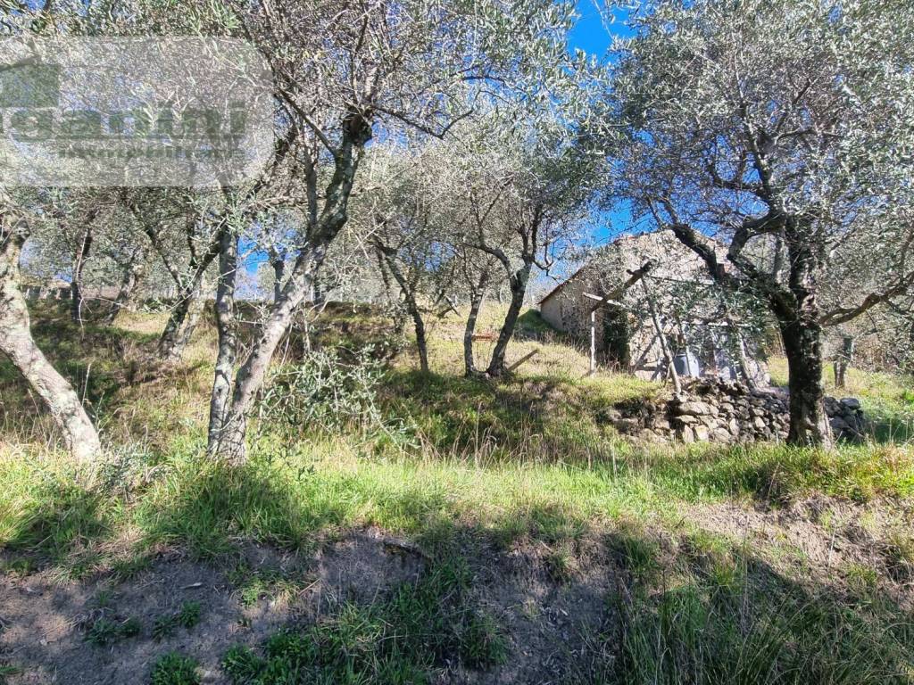 Terreno a Santo stefano di magra - Foto 2