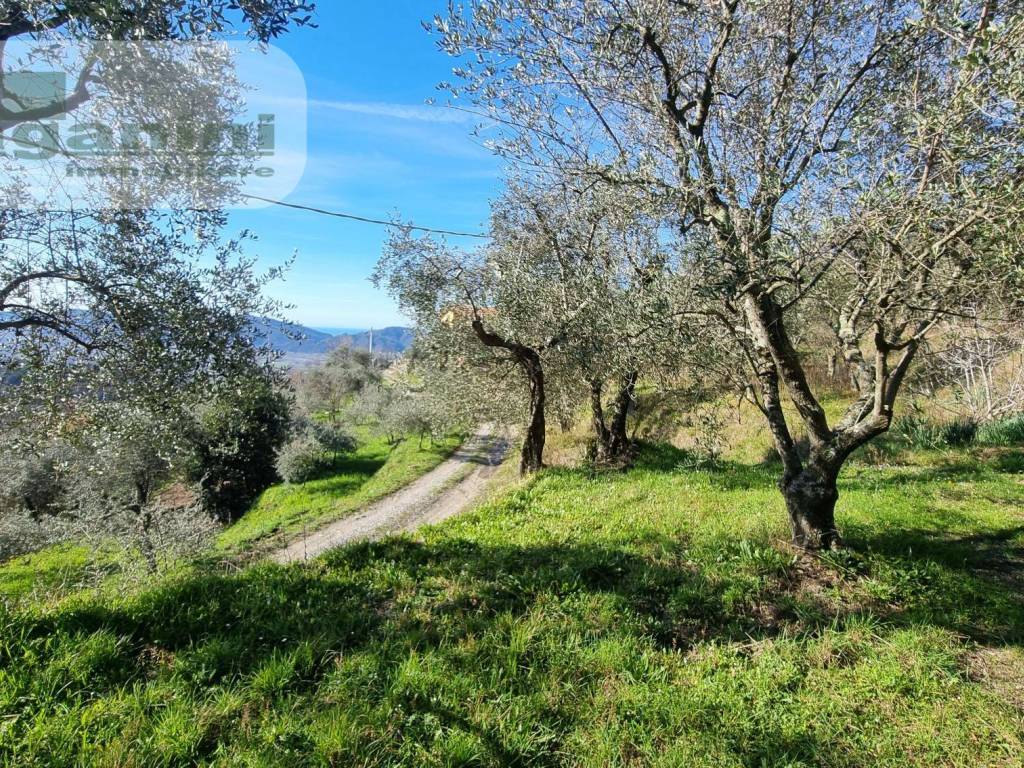 Terreno a Santo stefano di magra - Foto 3