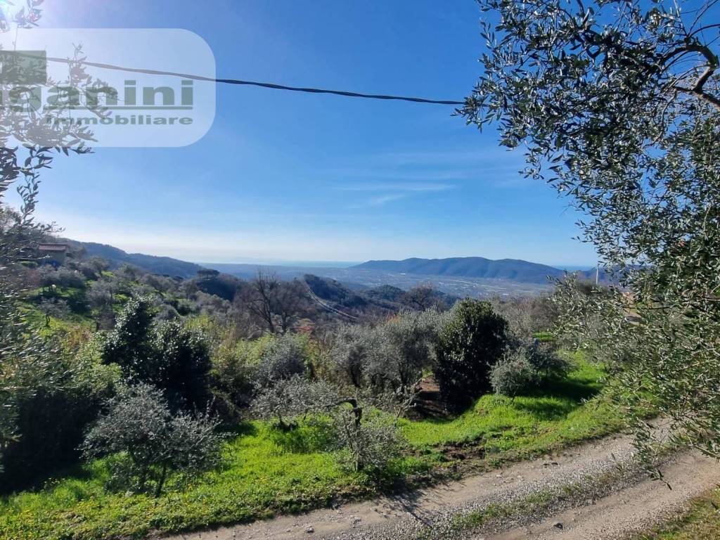 Terreno a Santo stefano di magra - Foto 4