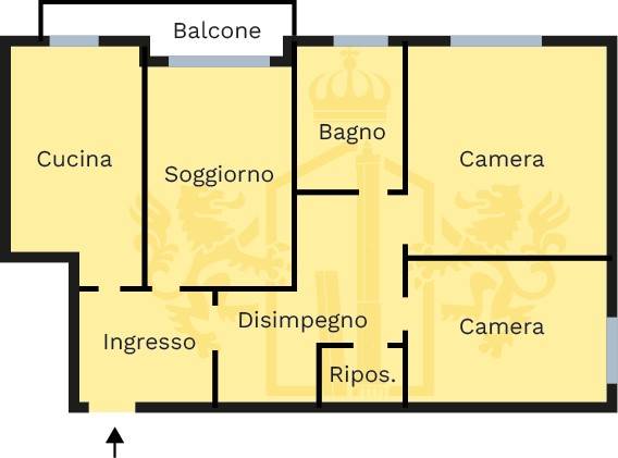 immagine di copertina