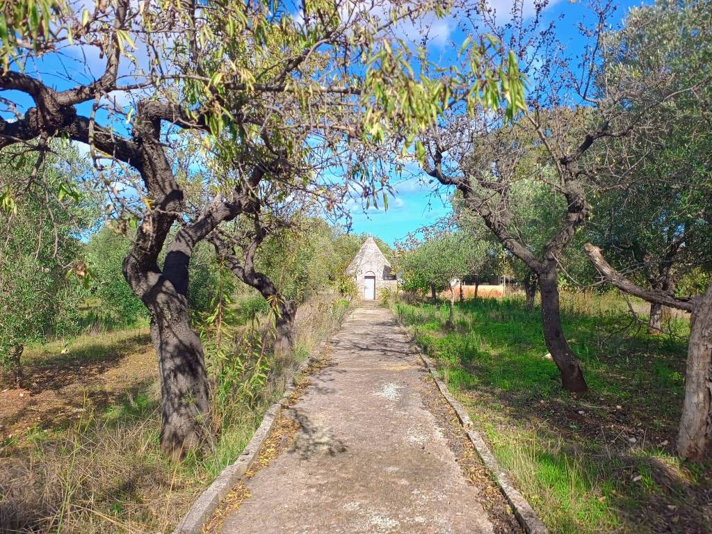 Rustico / casale a Polignano a mare - Foto 2