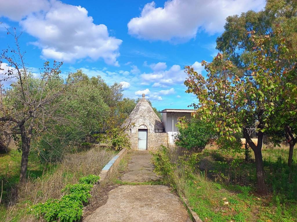 Rustico / casale a Polignano a mare - Foto 3
