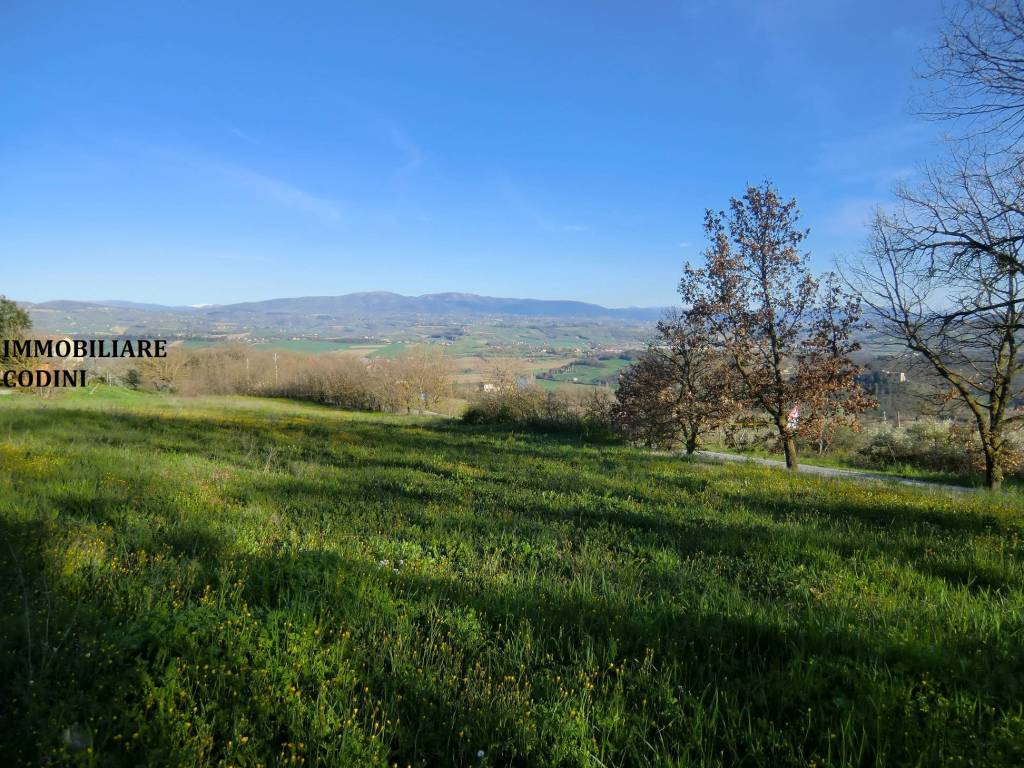 Terreno a Todi in Vocabolo Ponte-Montemolino - Foto 4