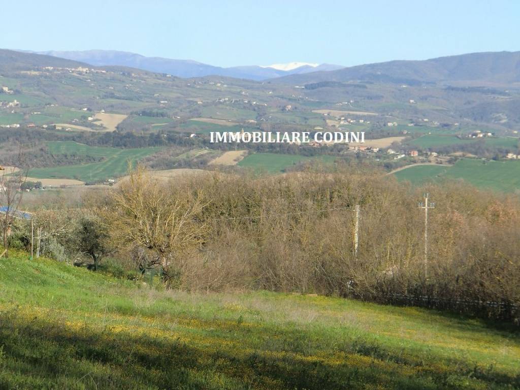 Terreno a Todi in Vocabolo Ponte-Montemolino - Foto 5