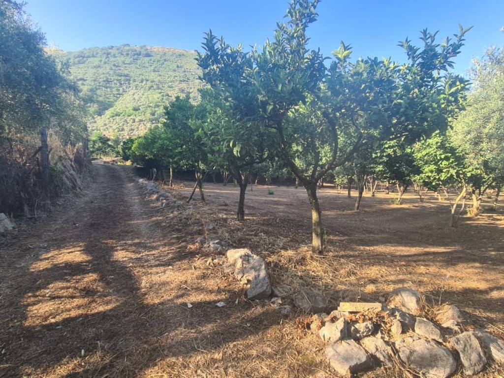 Terreno a Salerno in Via Casa Martino - Foto 3