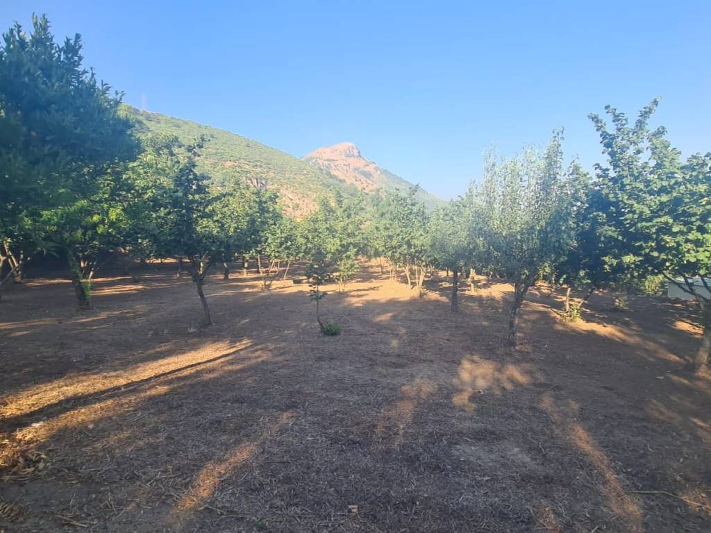 Terreno a Salerno in Via Casa Martino - Foto 4