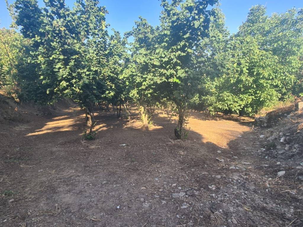 Terreno a Salerno in Via Casa Martino - Foto 5