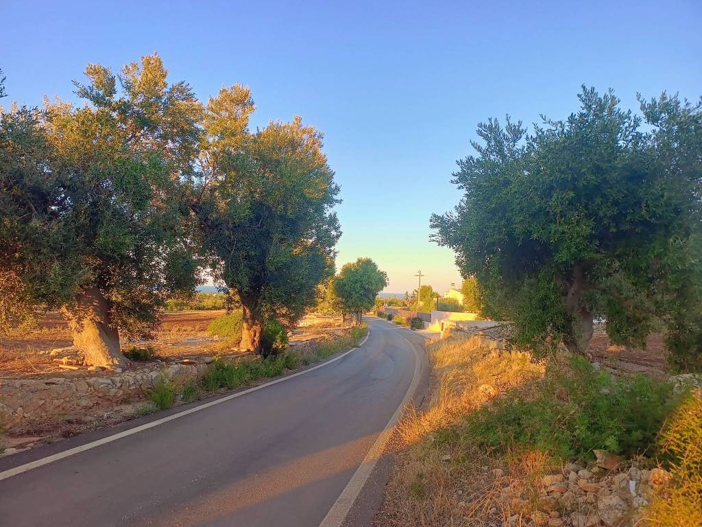Terreno a Polignano a mare in Strada Provinciale Conversano-San Vito - Foto 2