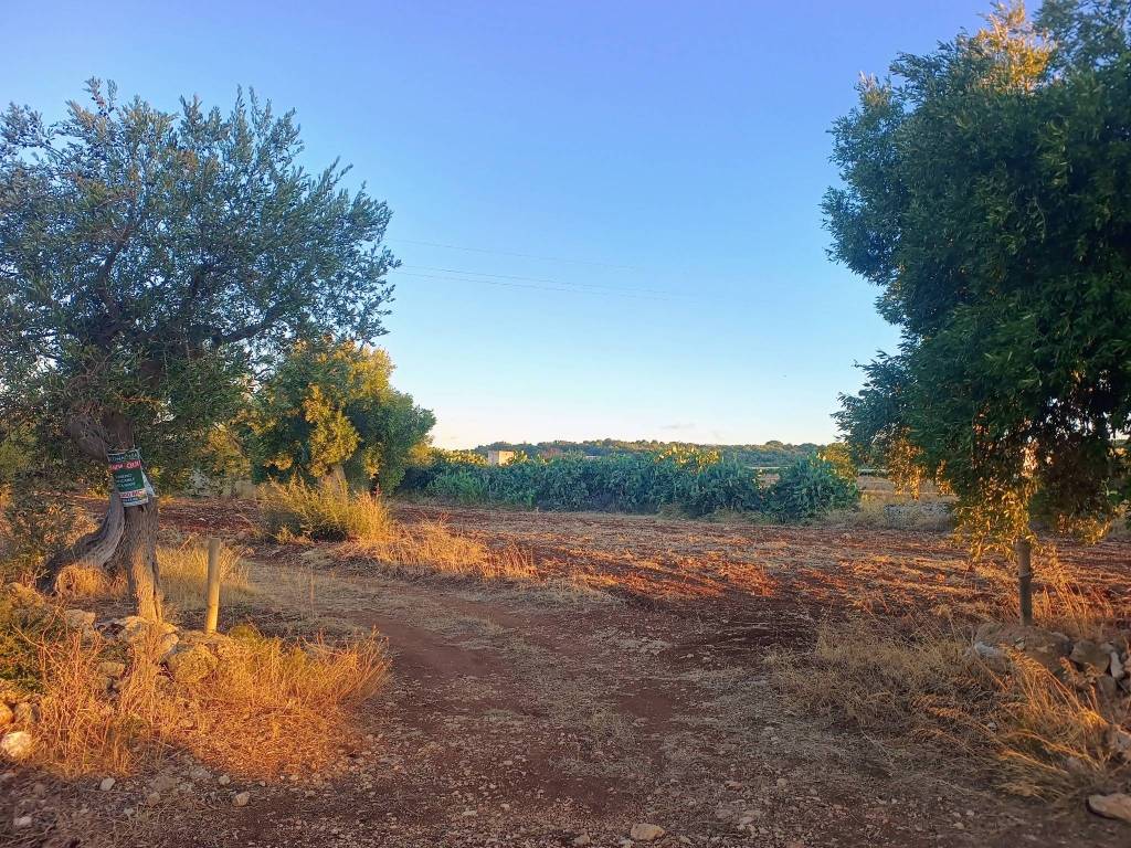 Terreno a Polignano a mare in Strada Provinciale Conversano-San Vito - Foto 3