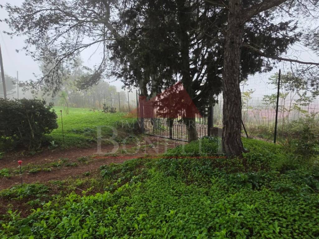 Terreno a Caltagirone in Via Andrea Parini - Foto 2