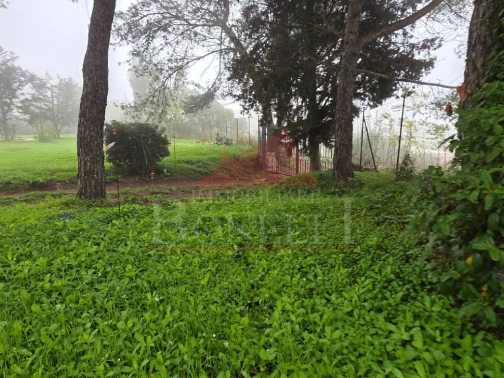 Terreno a Caltagirone in Via Andrea Parini - Foto 3