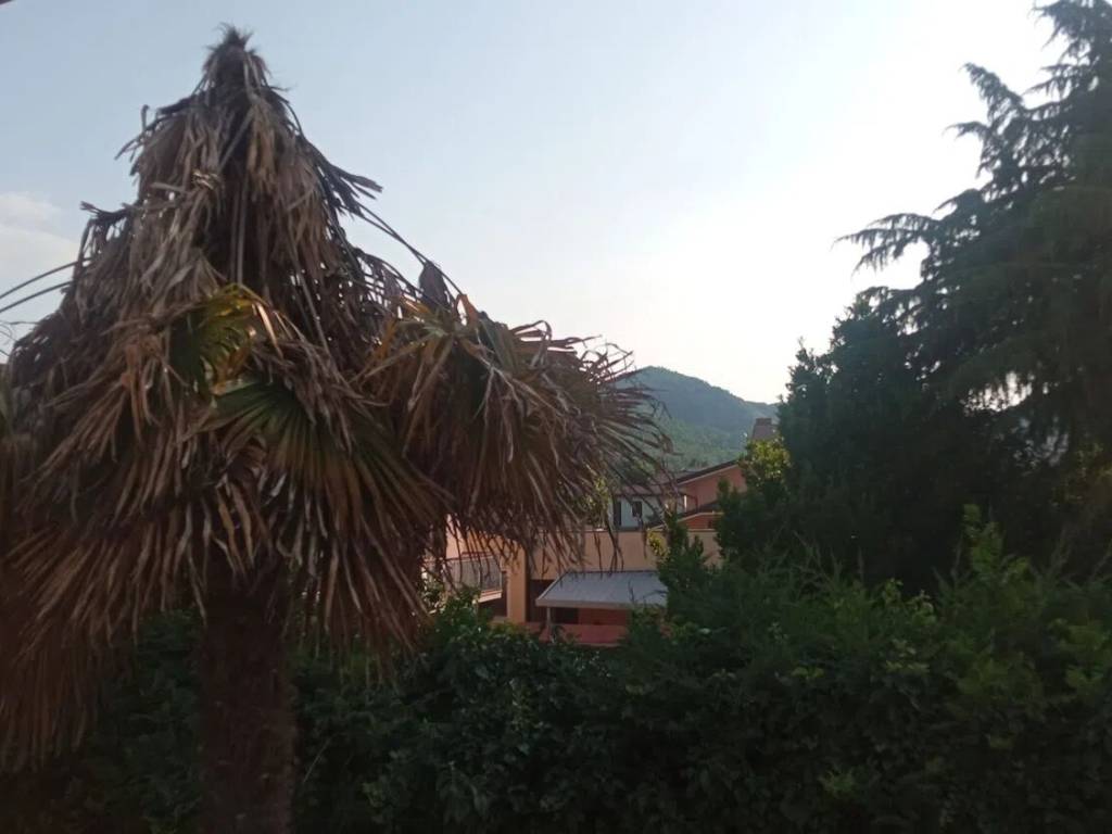 Villa a Montegrotto terme in Via Alessandro Manzoni - Foto 3