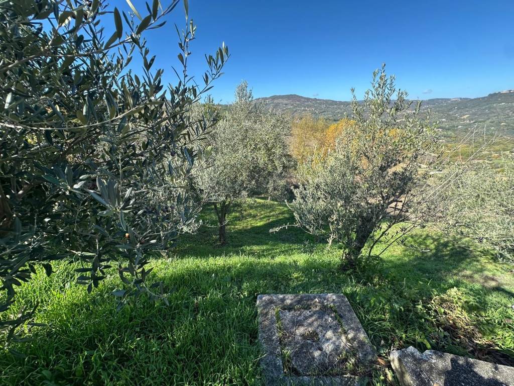 Villa a Mirabello sannitico in contrada valli nuove - Foto 4