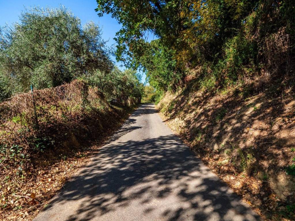 Rustico / casale a Fano in Strada Vicinale Sant'Anna, 45 - Foto 4
