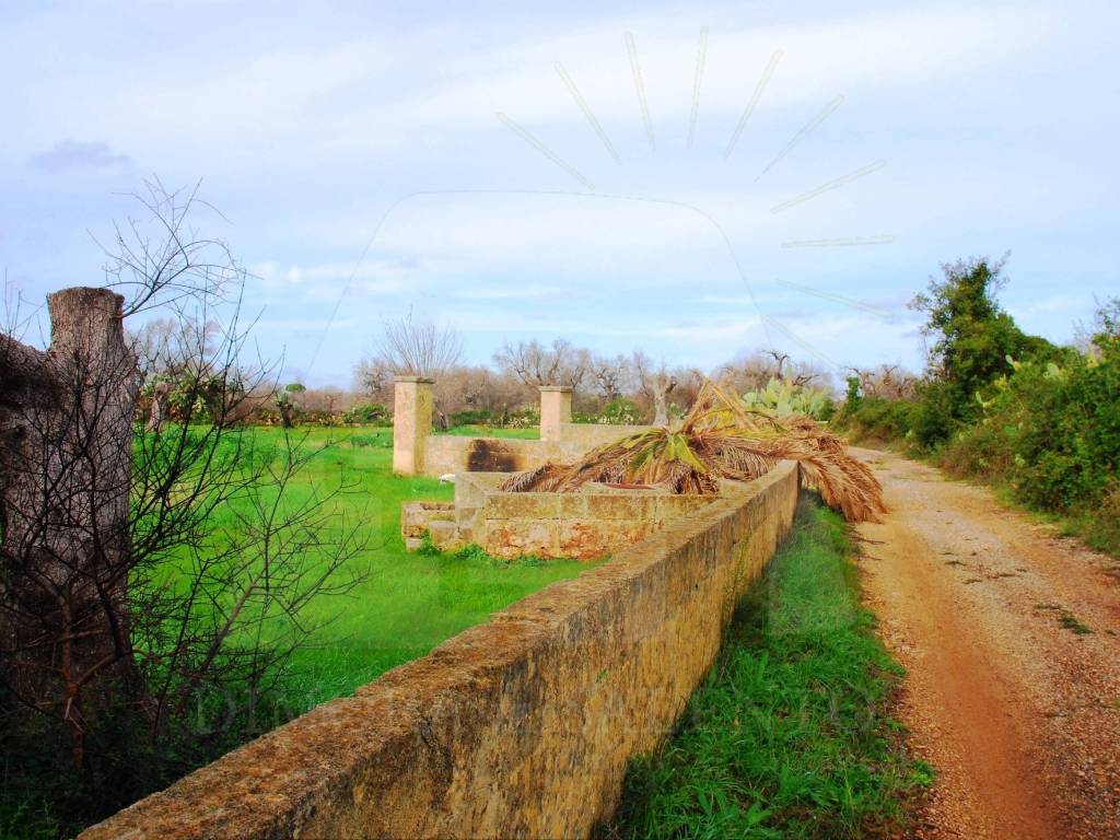 Terreno a Salve in Strada Vicinale Palombara - Foto 2