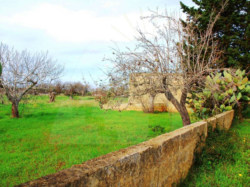 Terreno a Salve in Strada Vicinale Palombara - Foto 4