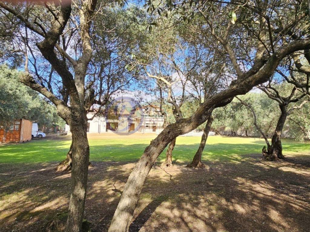 Villa a Seravezza - Foto 2