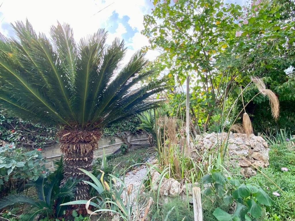 Villa a Cerveteri in Via Giovanni Proietti Torreggiani - Foto 3