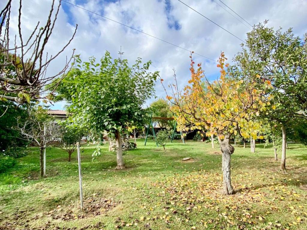 Villa a Cerveteri in Via Giovanni Proietti Torreggiani - Foto 4
