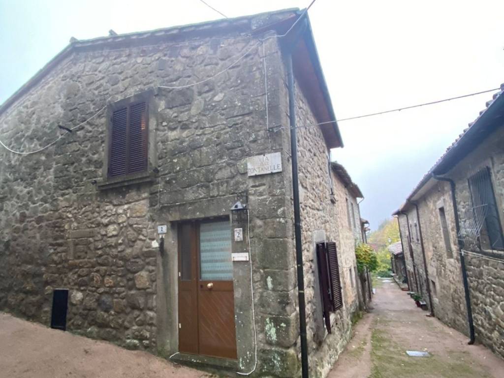 Casa indipendente a Santa fiora in Via delle Fontanelle - Foto 2