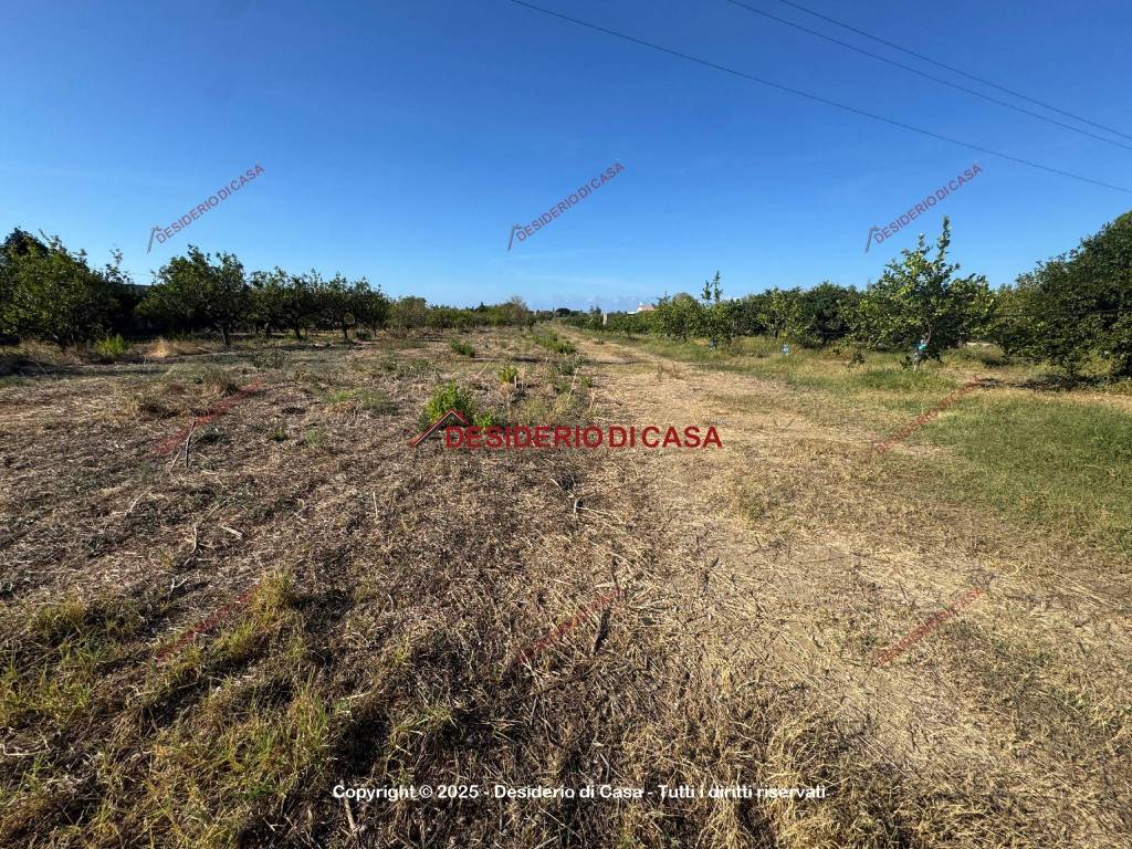 Terreno a Campofelice di roccella in SS113 - Foto 2