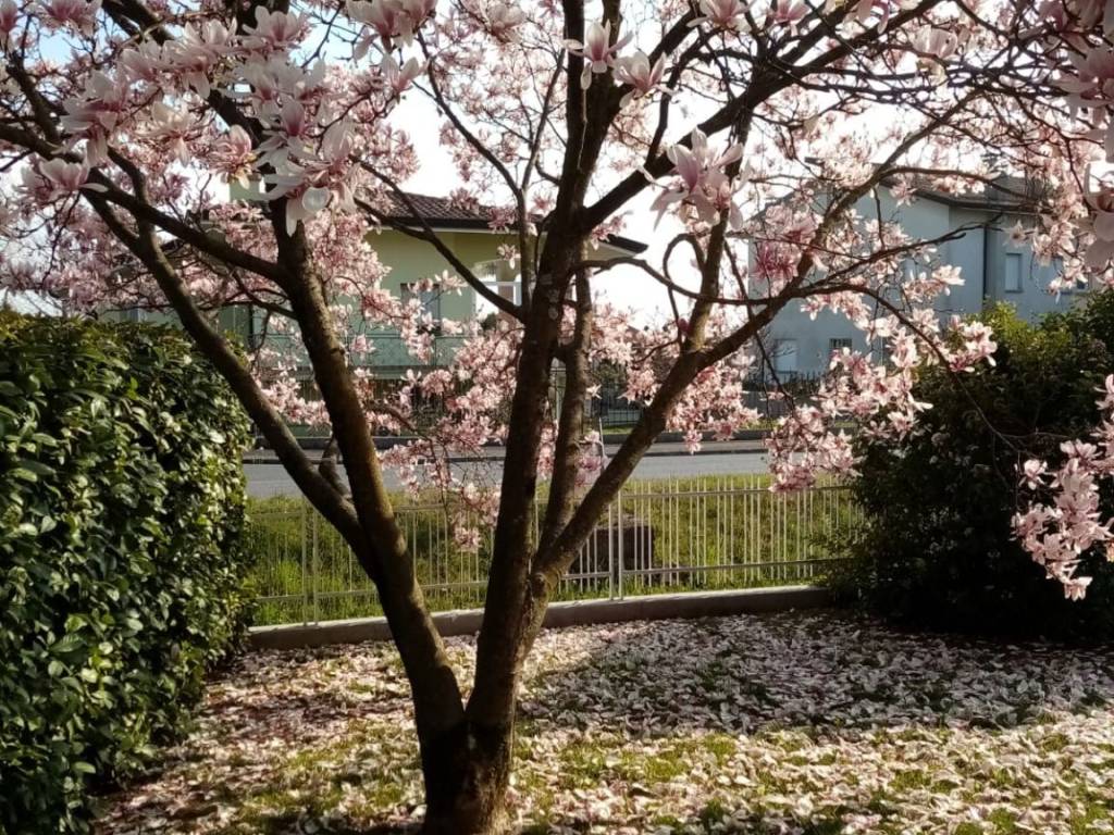 Villa a Gonars - Foto 3