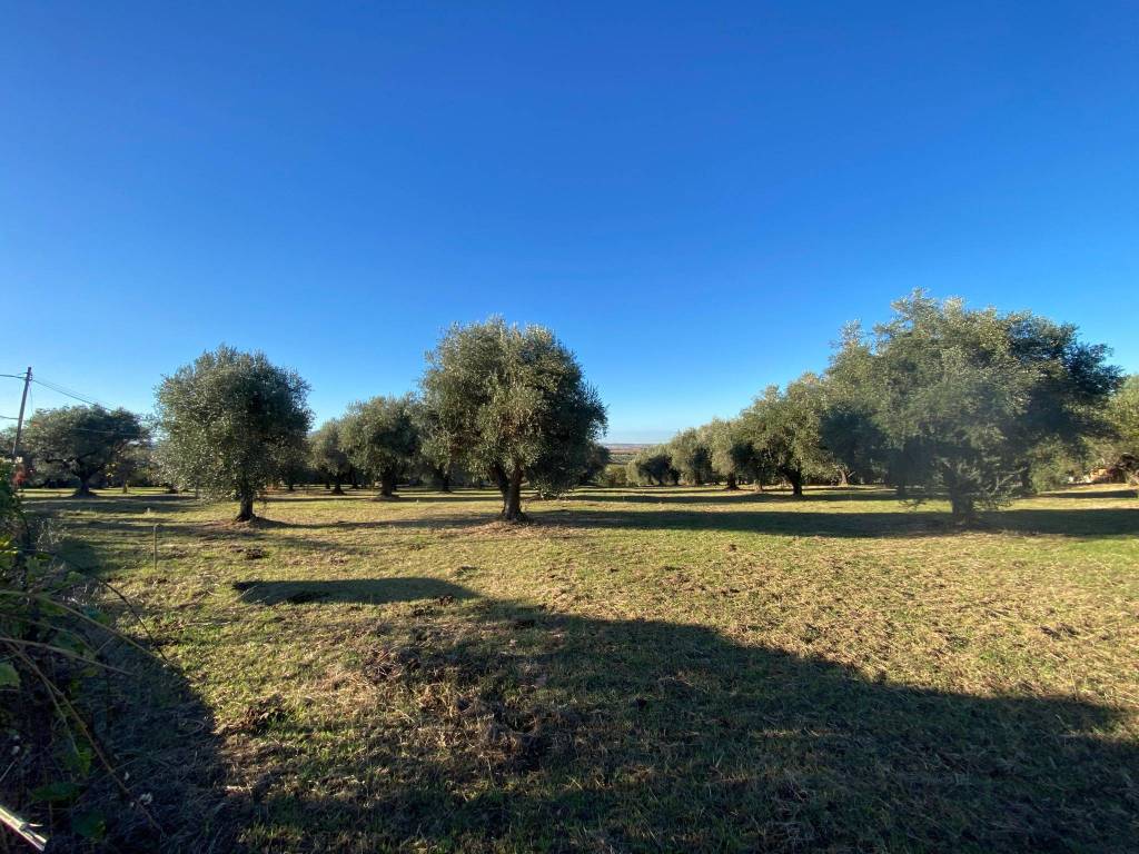 Terreno a Tivoli in Strada San Vittorino - Foto 3