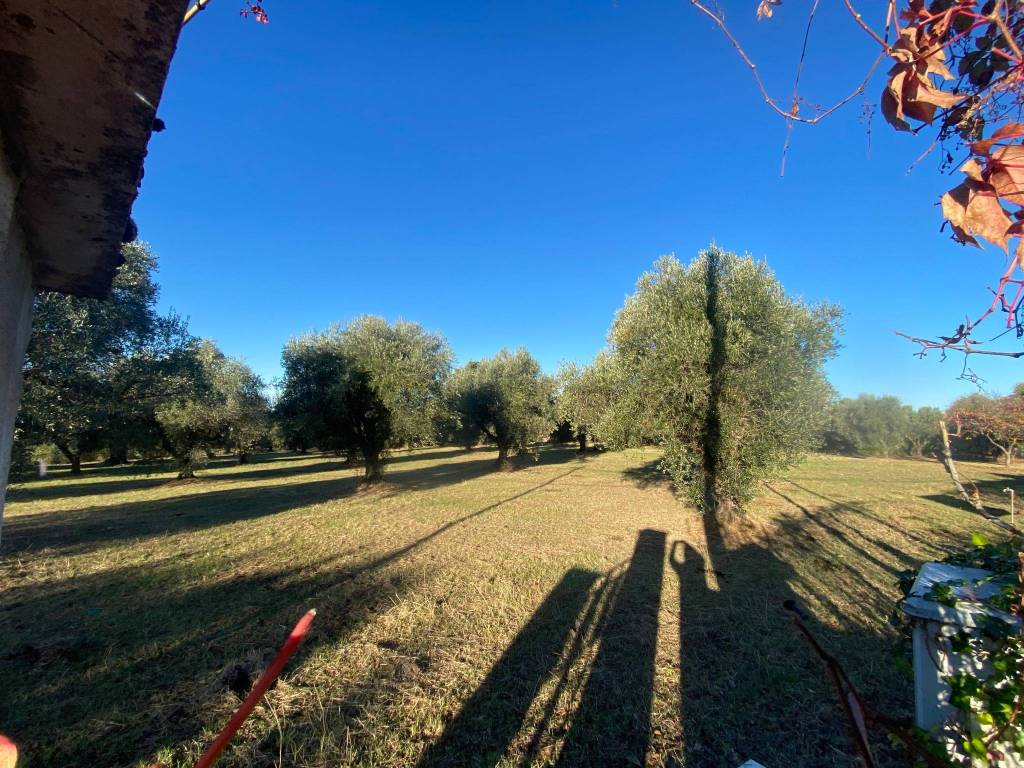 Terreno a Tivoli in Strada San Vittorino - Foto 4