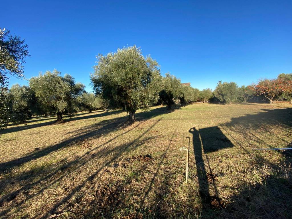 Terreno a Tivoli in Strada San Vittorino - Foto 5