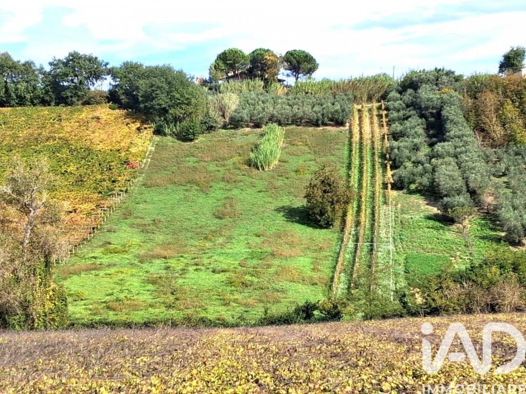 Terreno a Francavilla al mare in Frazione CODERUTO - Foto 2