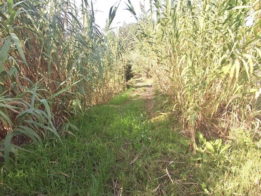 Terreno a Francavilla al mare in Frazione CODERUTO - Foto 3
