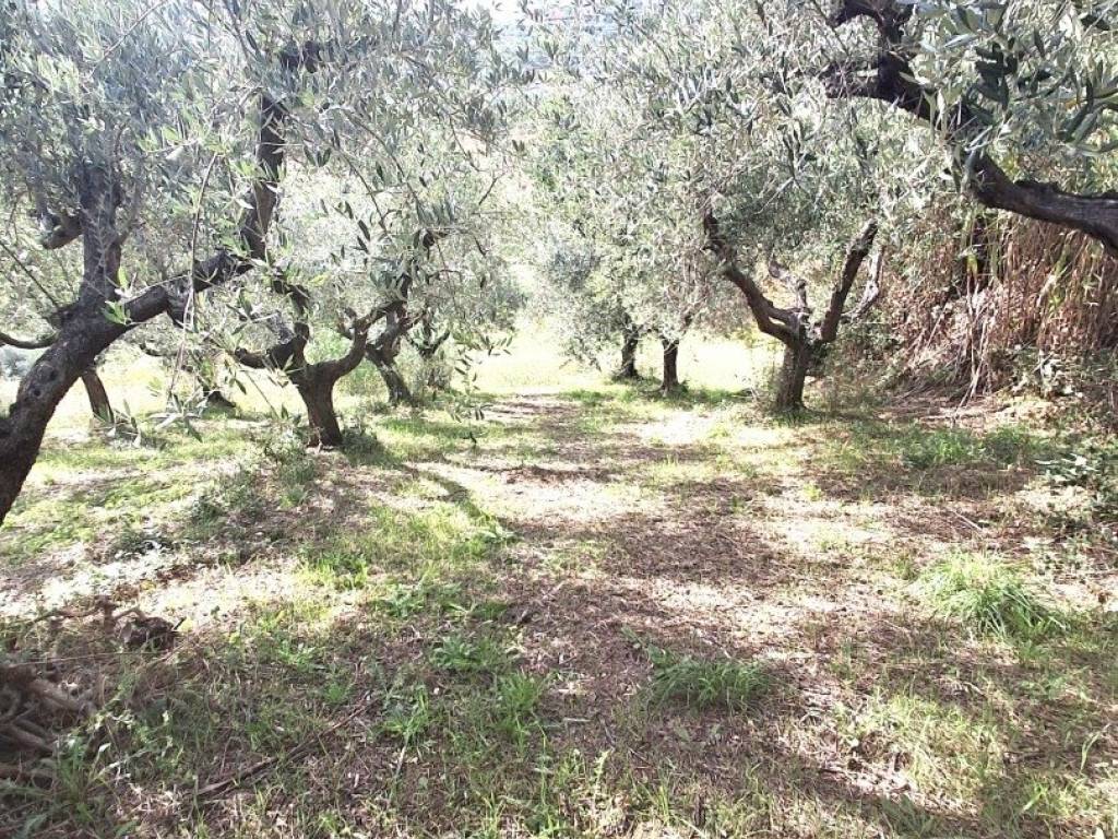 Terreno a Francavilla al mare in Frazione CODERUTO - Foto 4