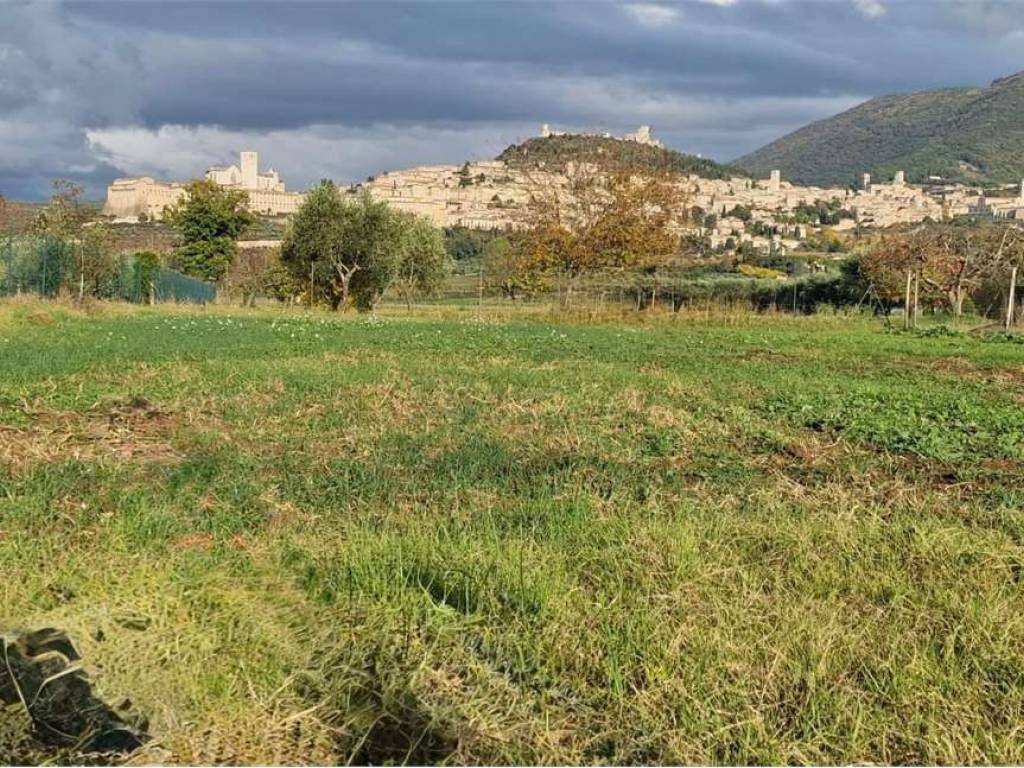 Terreno a Assisi in Loc. San Pietro Campagna - Foto 2