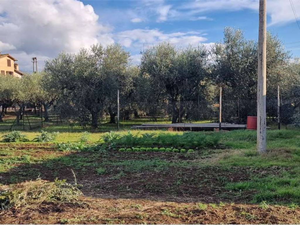 Terreno a Assisi in Loc. San Pietro Campagna - Foto 3