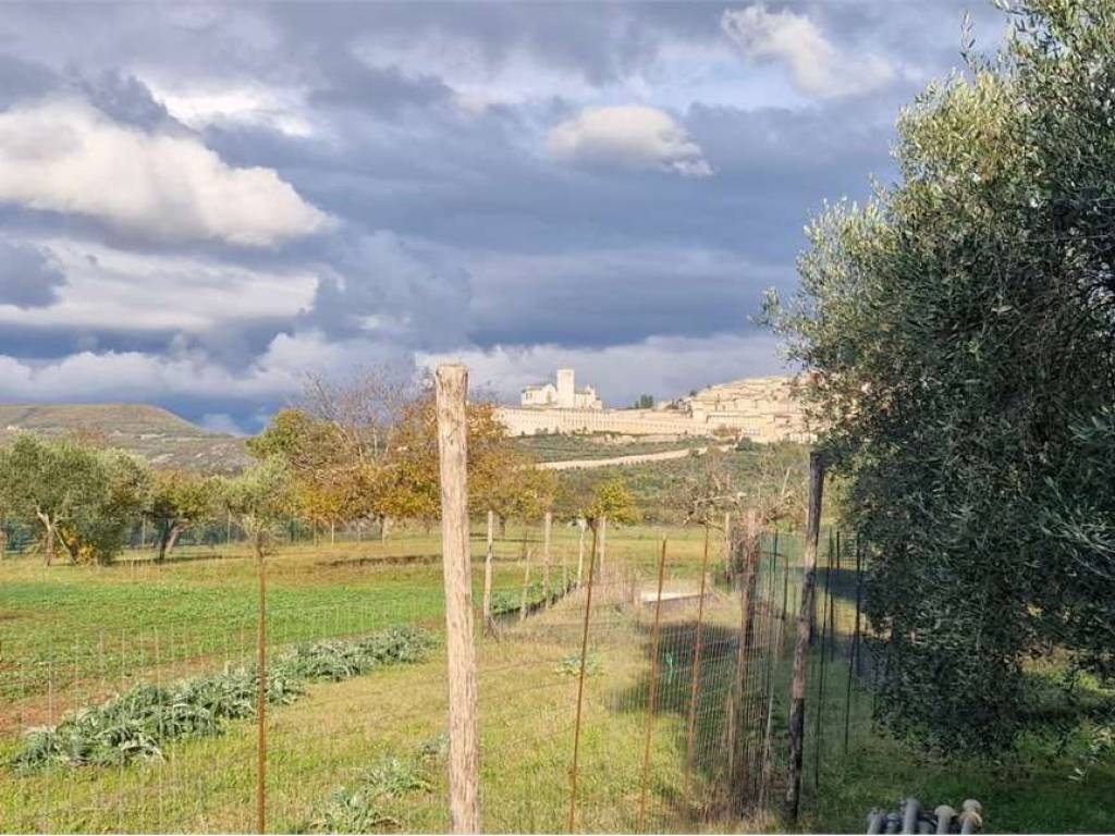 Terreno a Assisi in Loc. San Pietro Campagna - Foto 4