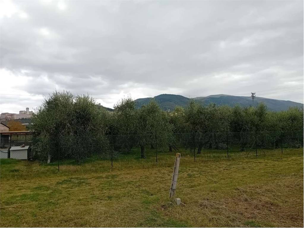 Terreno a Assisi in Loc. San Pietro Campagna - Foto 5