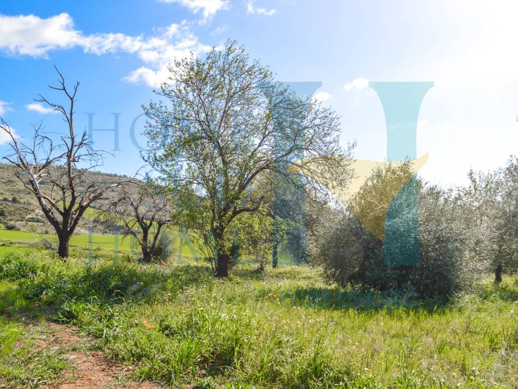 Rustico / casale a Noto - Foto 4