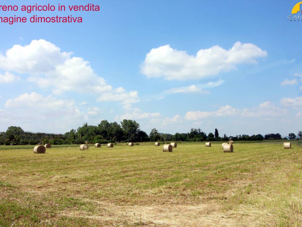 Terreno a Mondovì in Corso Italia - Foto 2