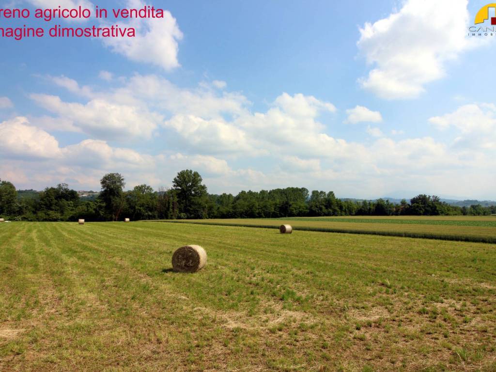 Terreno a Mondovì in Corso Italia - Foto 3