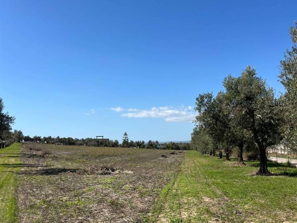 Terreno a Noto in C.da Burgio - Foto 5