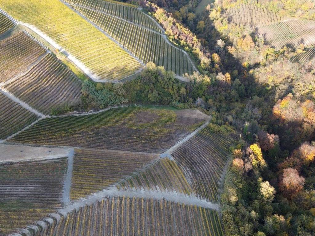 Terreno a Serralunga d'alba in Via Roma - Foto 2